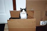 20050902_Kitty Kat_054